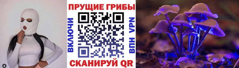 наркошоп  mega ТОР  Галлюциногенные грибы мицелий  Бирюч 