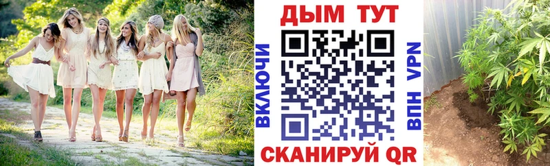 Канабис семена  Бирюч 